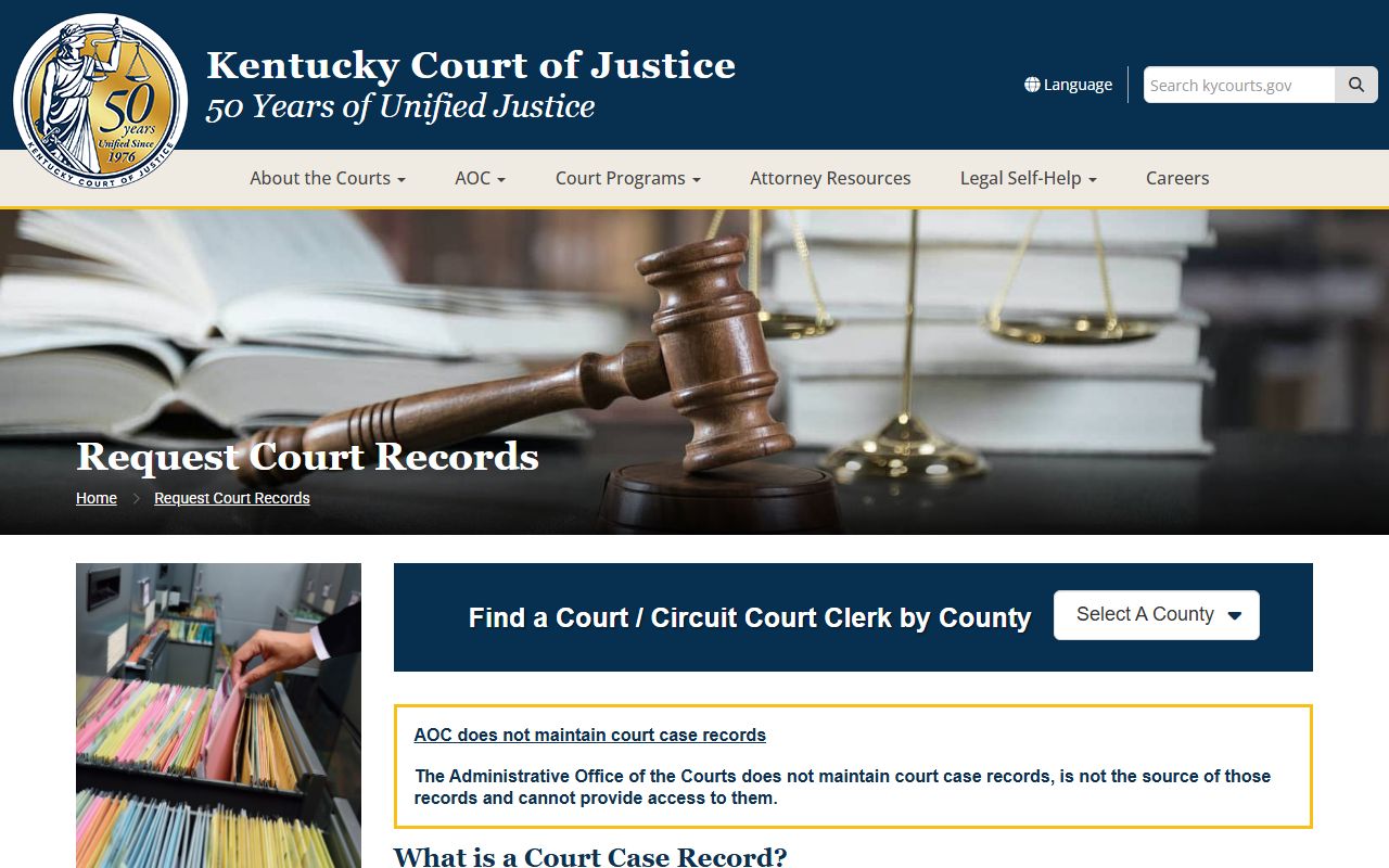 Woodford County court records request court records page